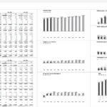 ONE PAGE Unternehmenscockpit, konzipiert und technisch implementiert von consultnetwork